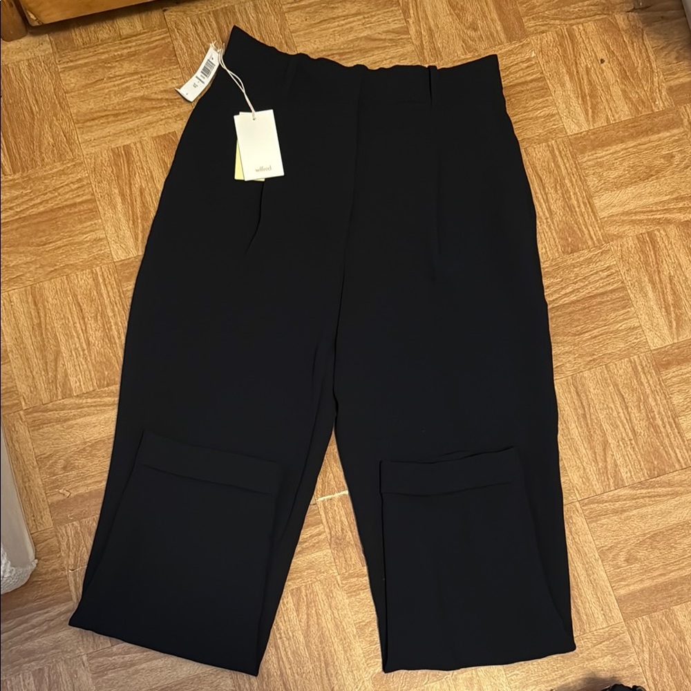 Aritzia WILFRED Dashwood high-waisted pleated crepe pants